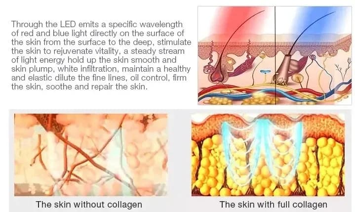 Red Light Therapy LED Face Mask — 7-Color — 2024 Edition detail 1